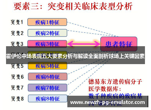 霍伊伦中场表现五大要素分析与解读全面剖析球场上关键因素